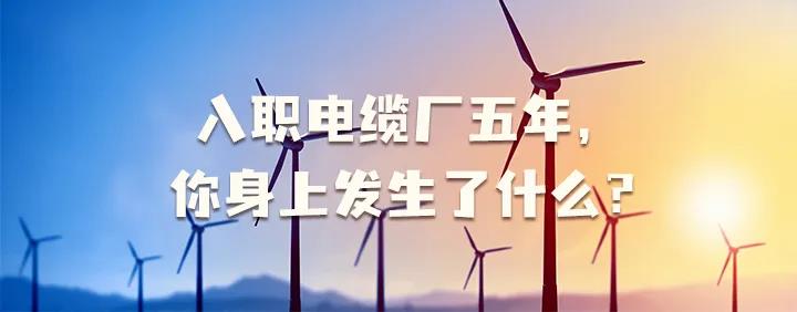 入職電纜廠五年，你身上發(fā)生了哪些變化~